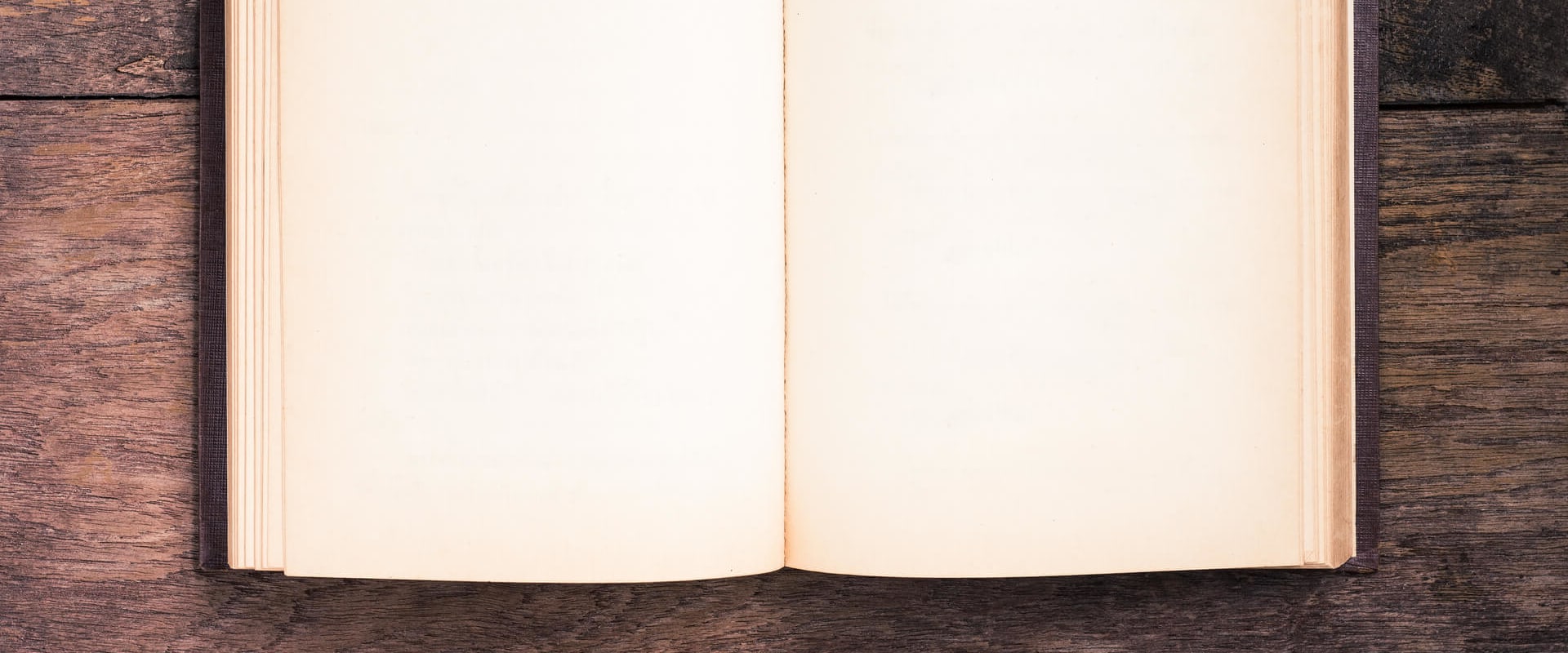 Die Macht von On-Page- und Off-Page-SEO
